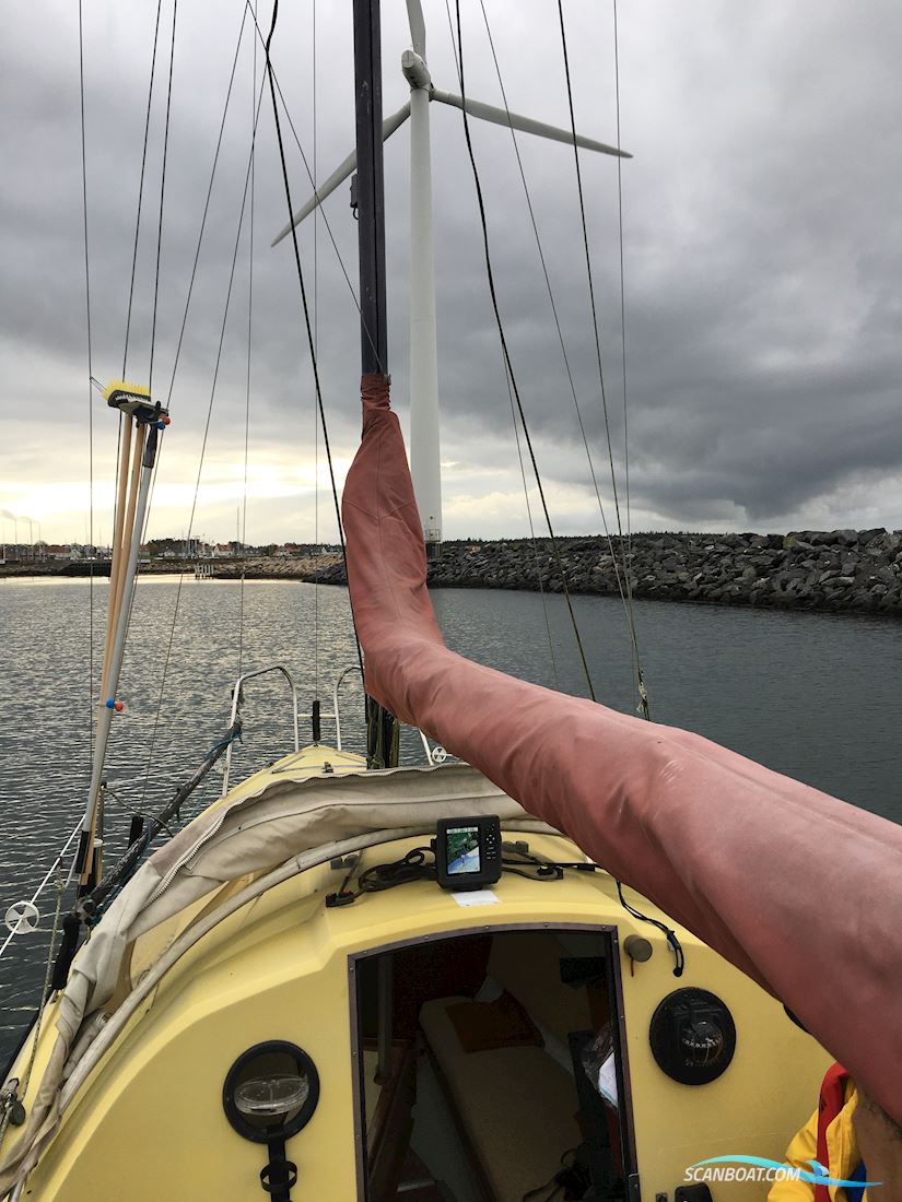 Draco Summerwind 24'