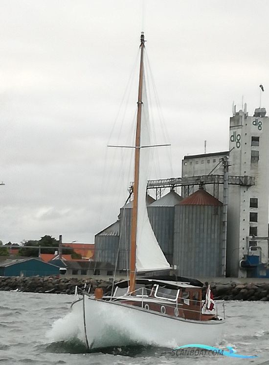 Dyreborg 32