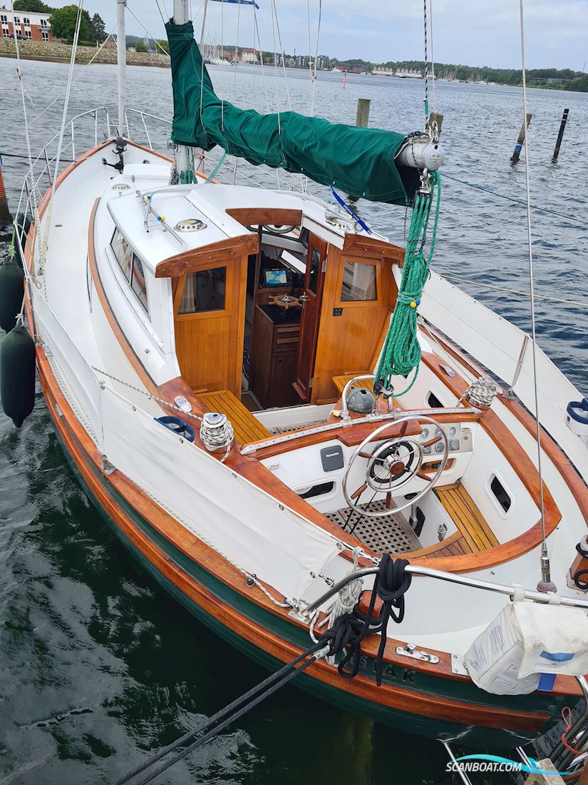 Fjord ms 33
