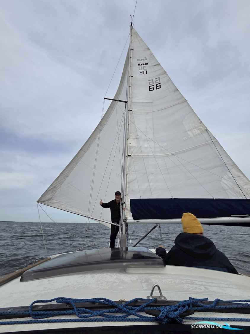 LM 30