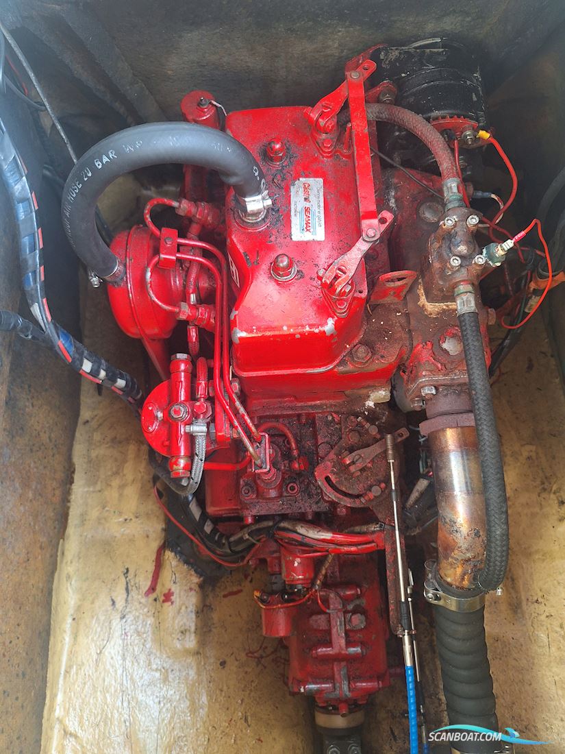 Medusa 25