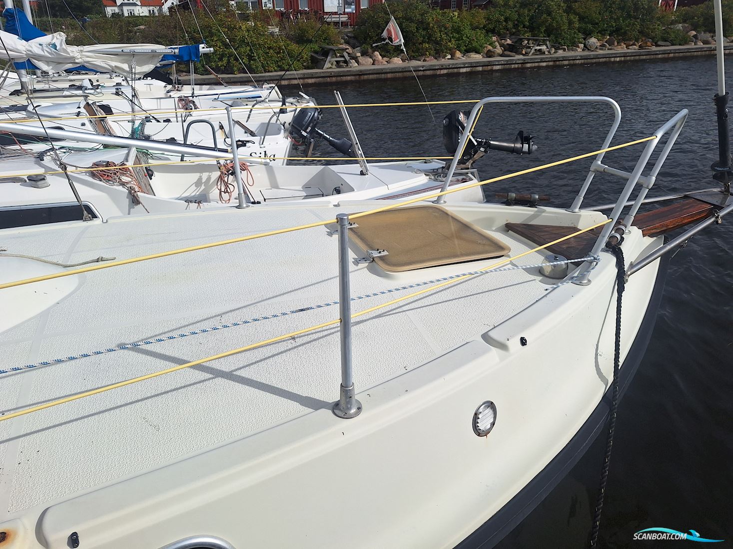 Medusa 25