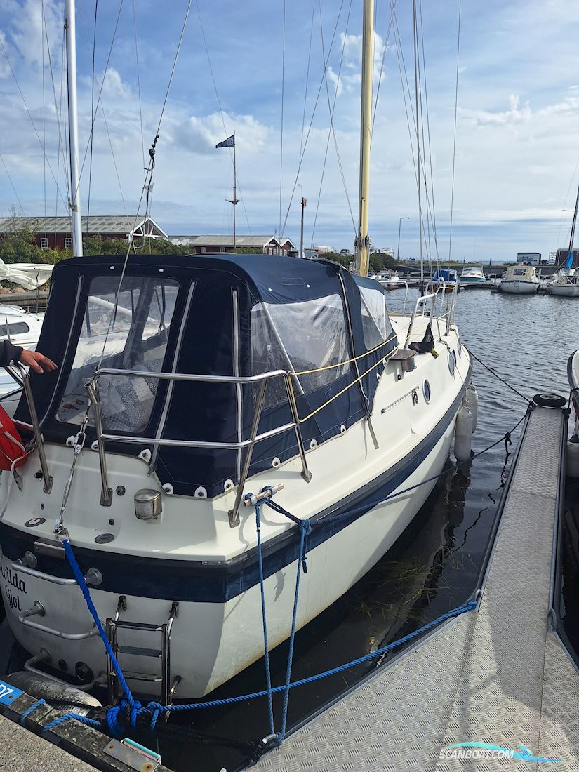 Medusa 25