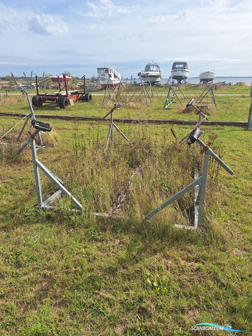 Medusa 25