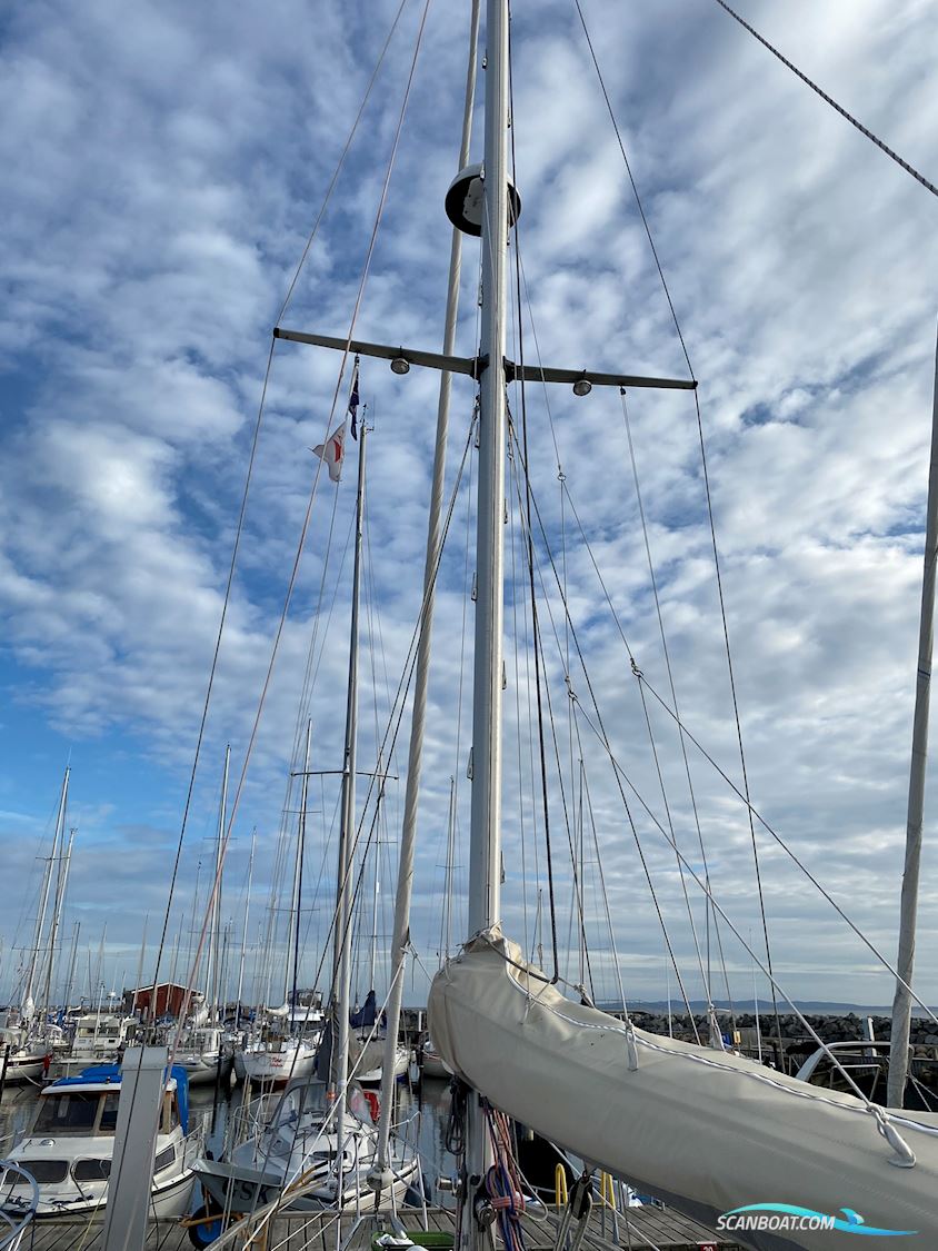 Seafinn 39