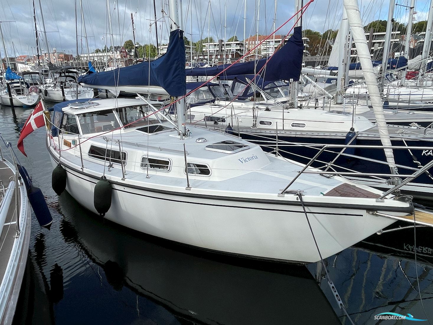 Venus 31
