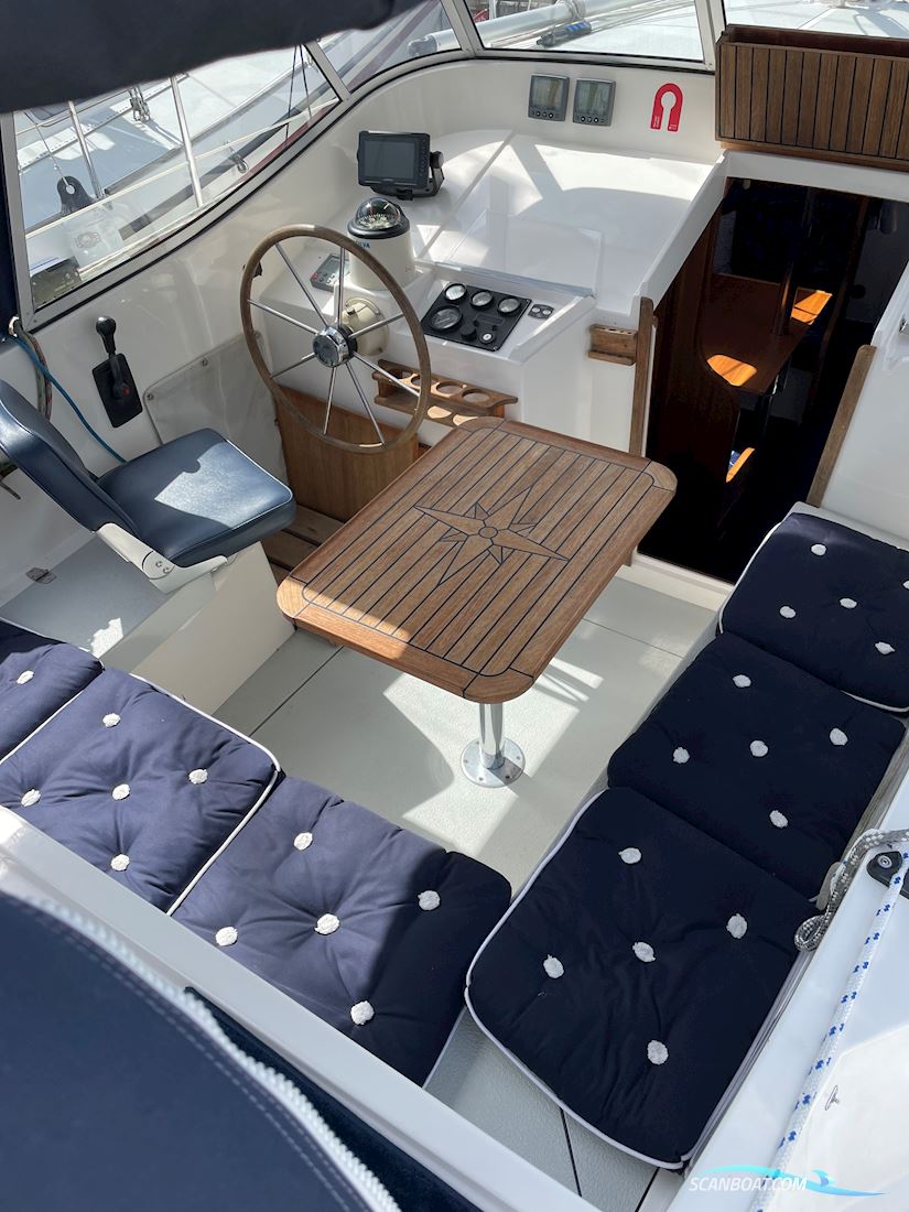 Compass 31