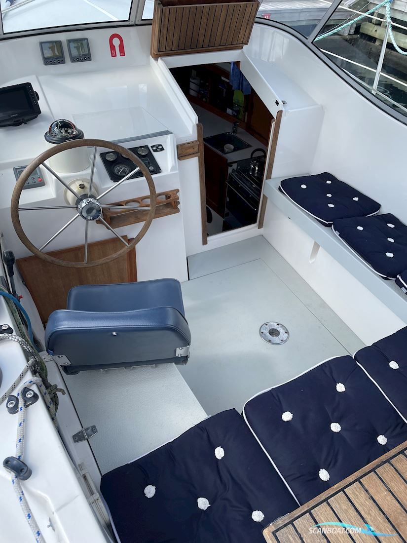 Compass 31