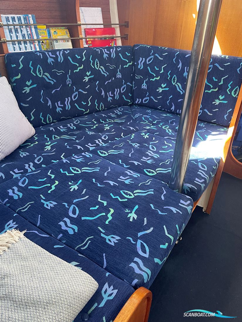 Compass 31