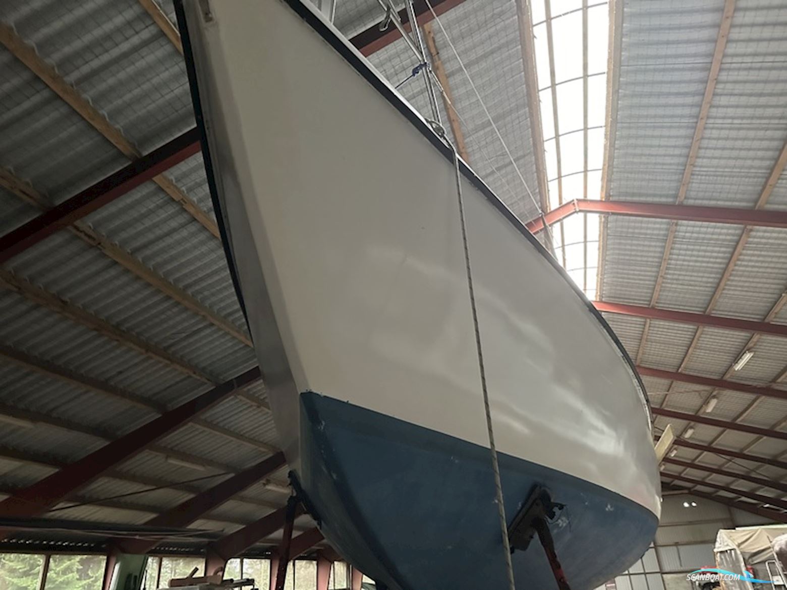 Compass 31