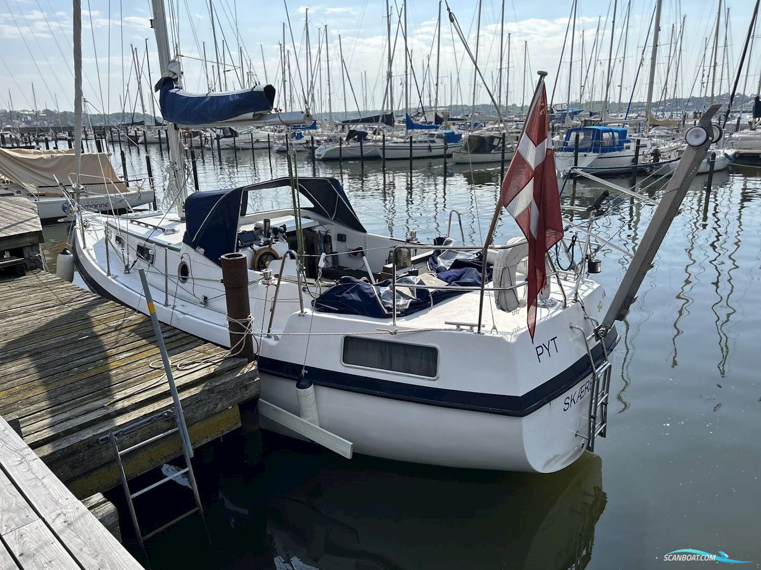 Compass 31