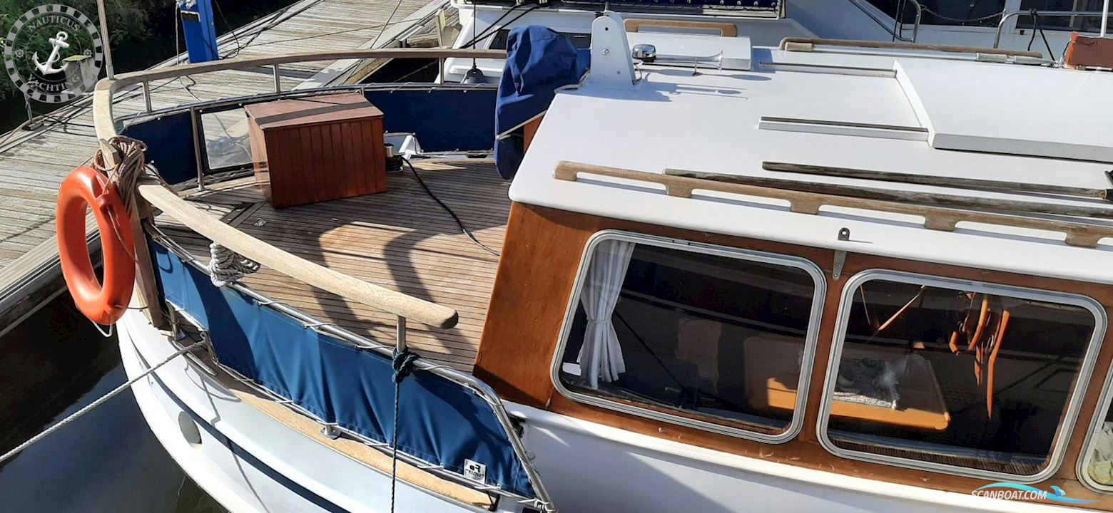 Danish Rose 32