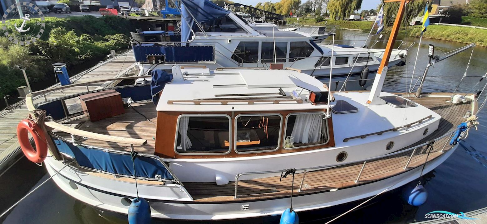 Danish Rose 32