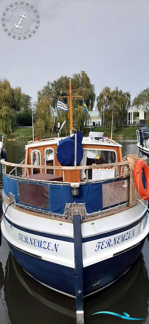 Danish Rose 32