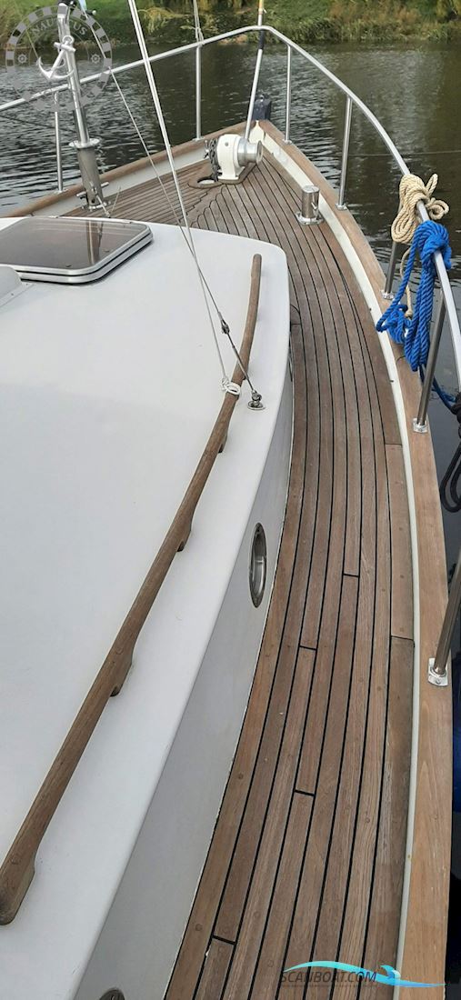 Danish Rose 32