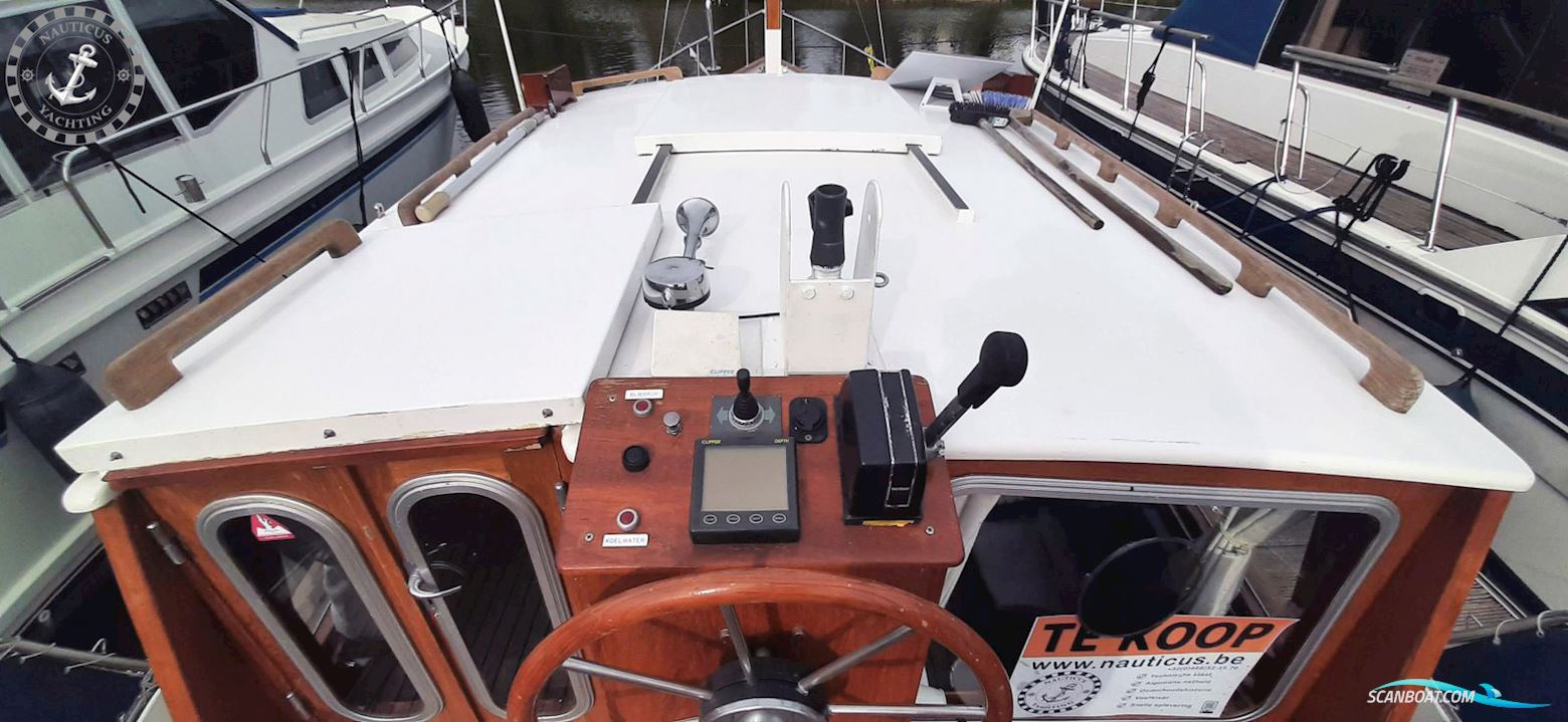 Danish Rose 32