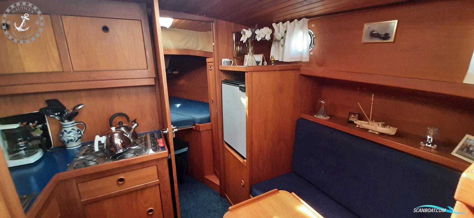 Danish Rose 32