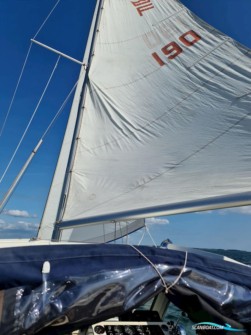Finnsailer 29