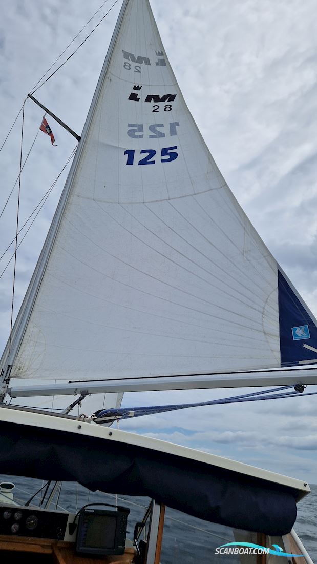 Lm 28
