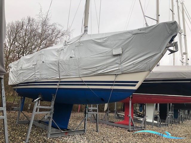 LM Vitesse 33 Cabrio