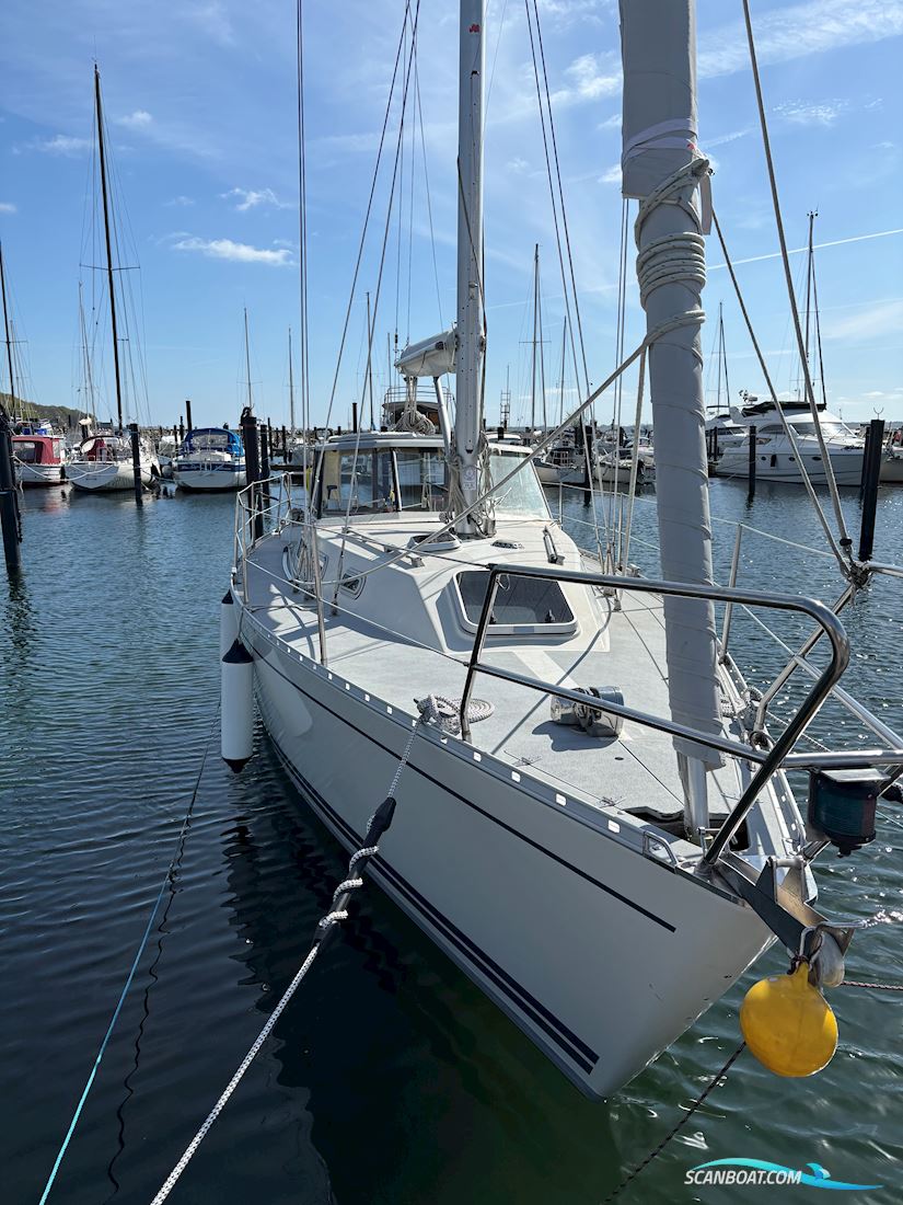 LM Vitesse 35 Cabrio