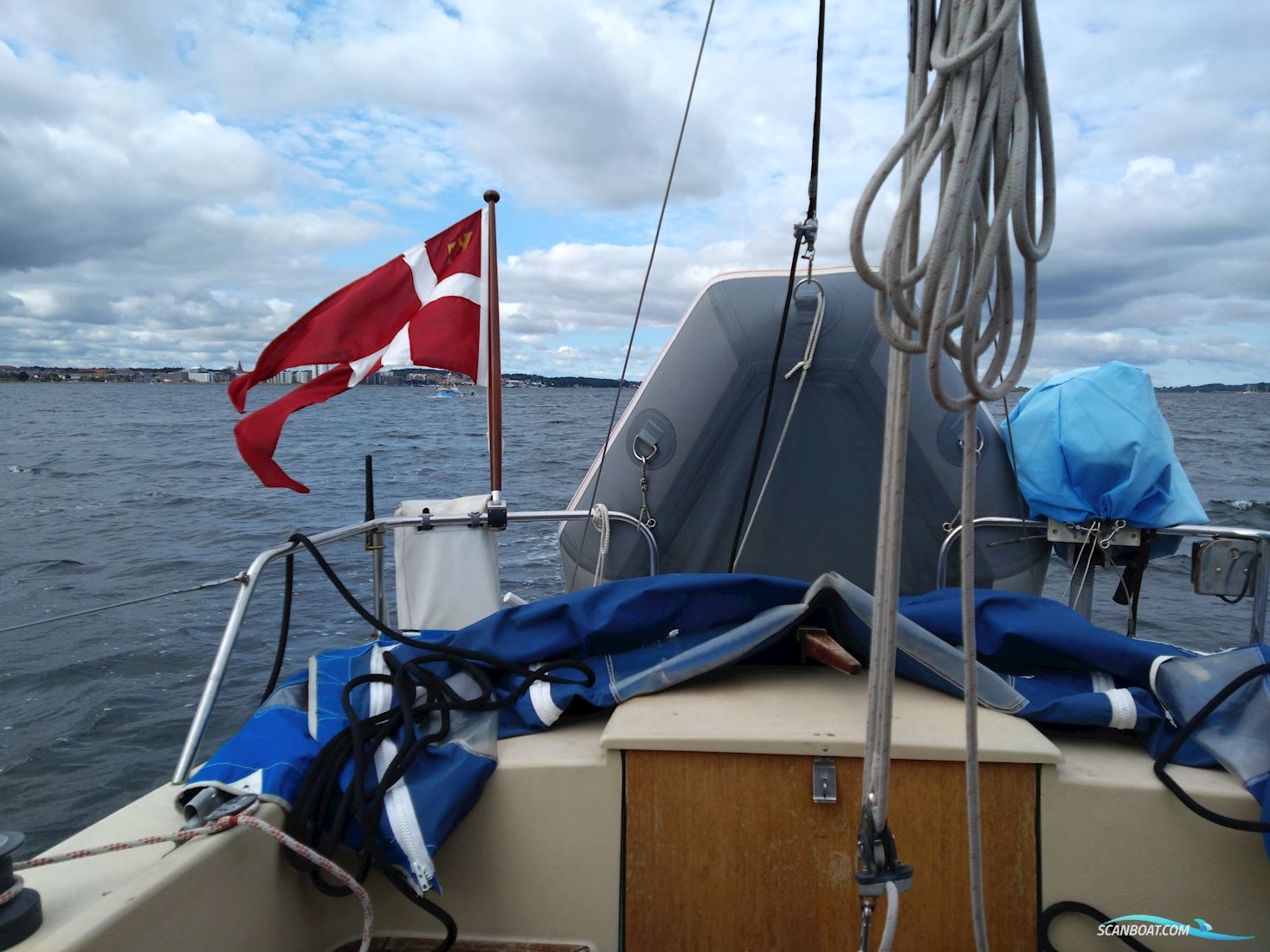 Mascot 24