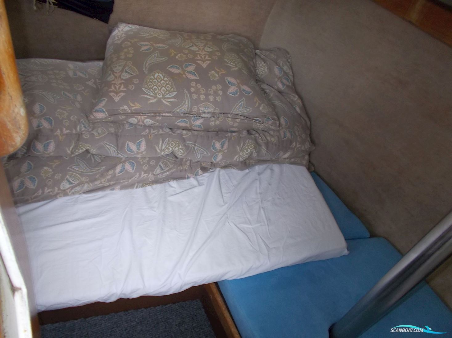 Mascot 33