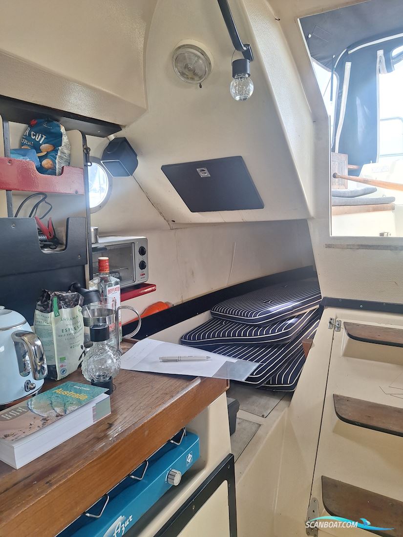 Medusa 25