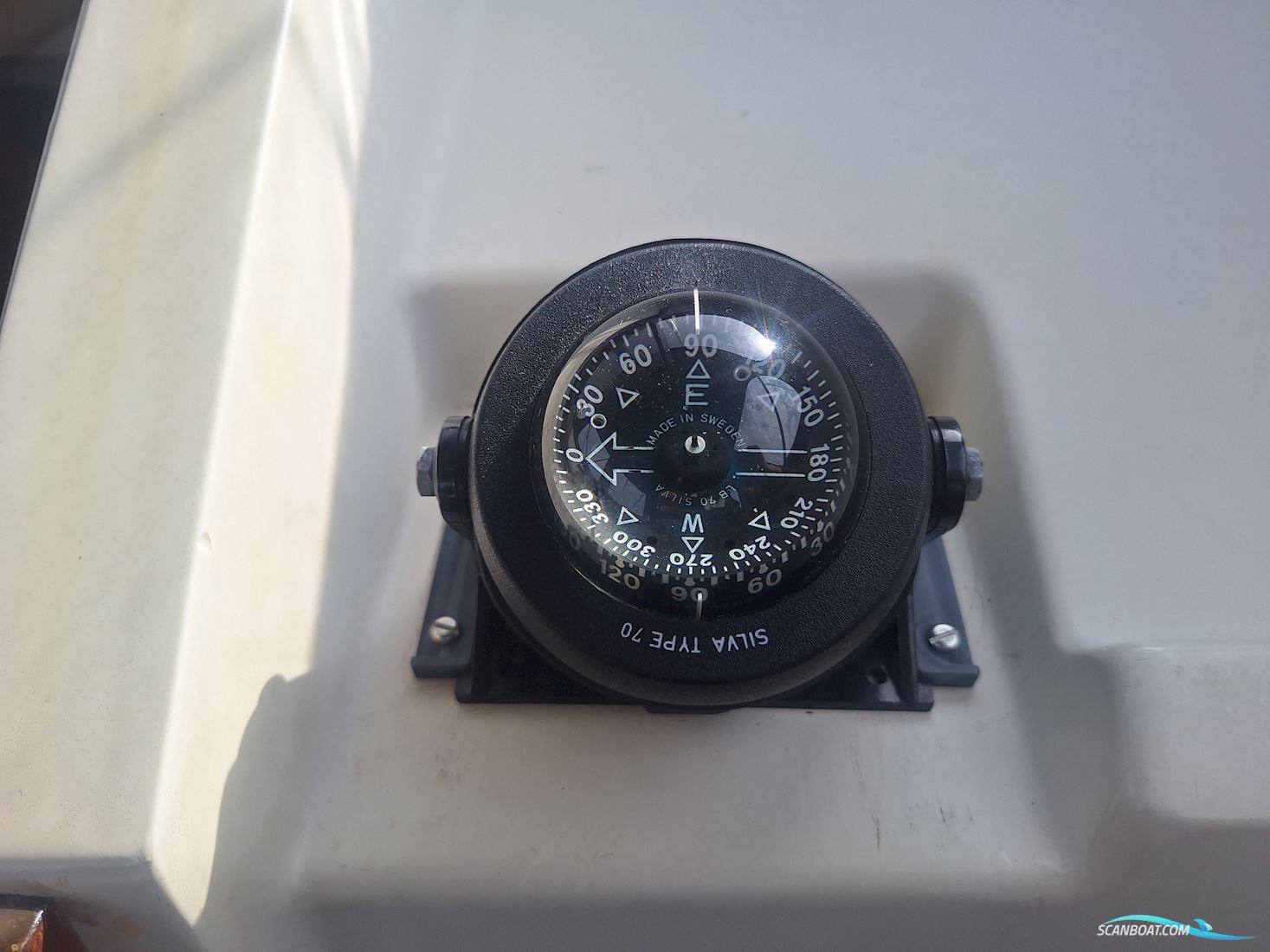 Medusa 25