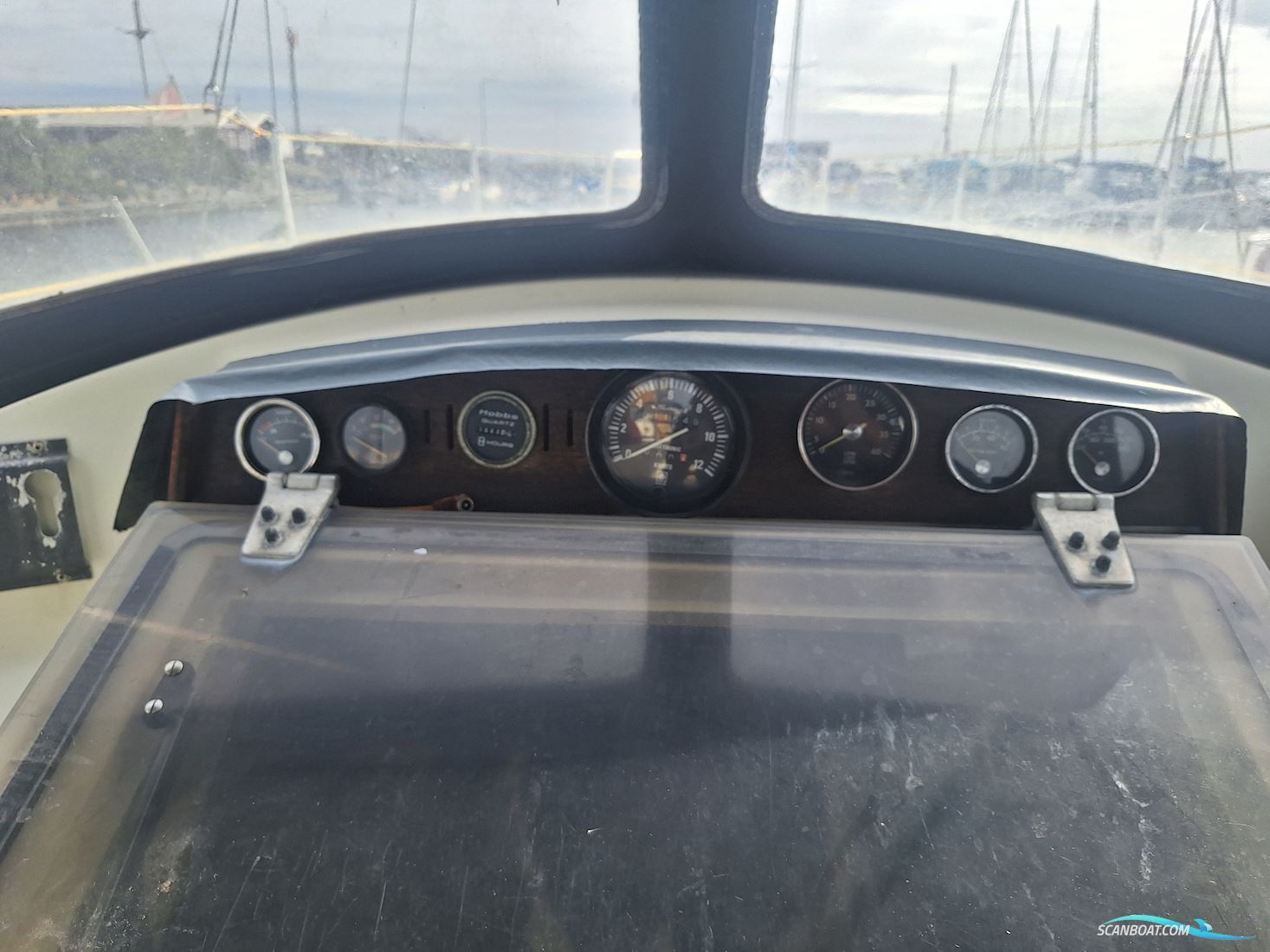 Medusa 25