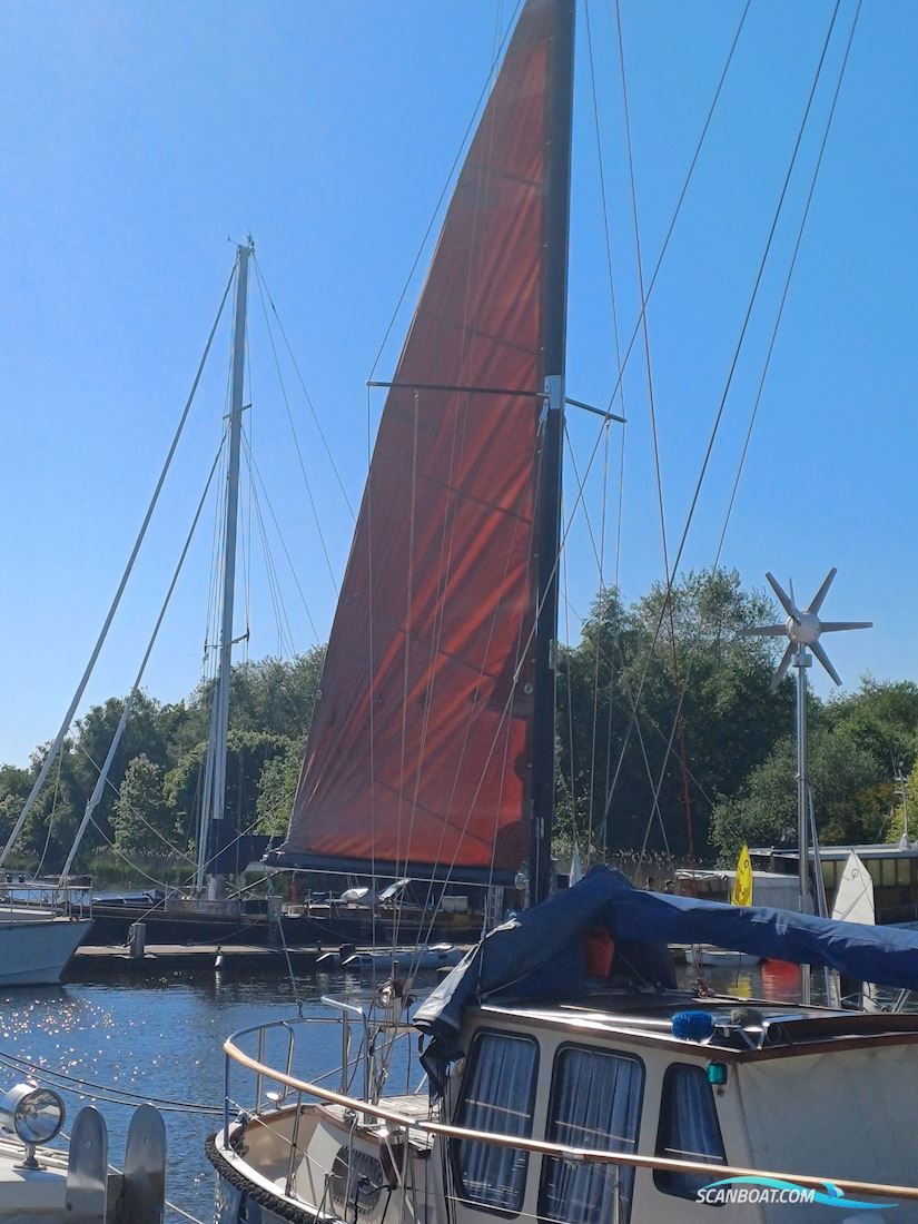 Rubin 35