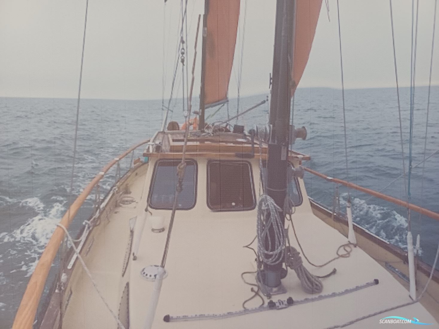 Rubin 35