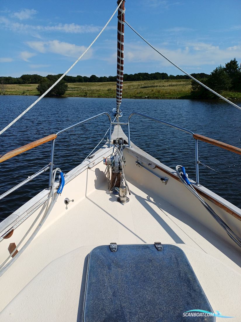 Rubin 35