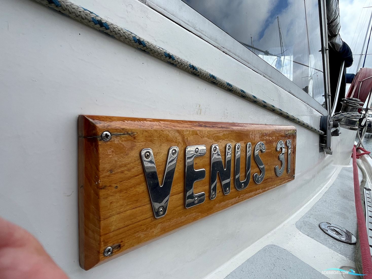 Venus 31