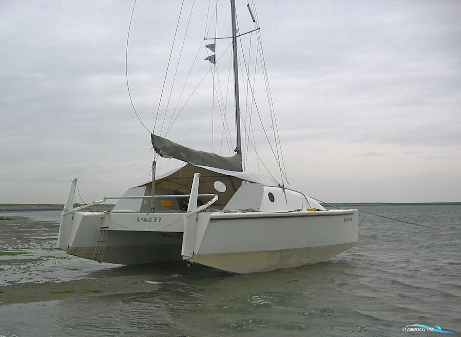 Amateur Starter 800 Catamaran
