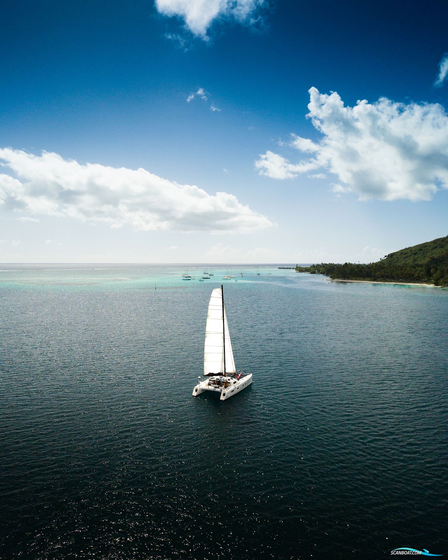 Barreau/Marsaudon TS 50