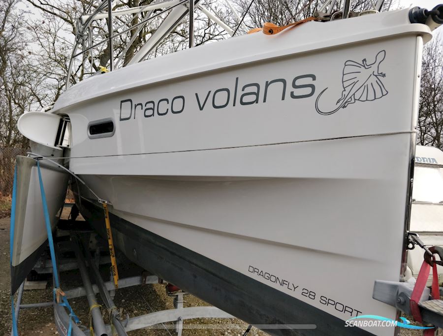 Dragonfly 28 Sport