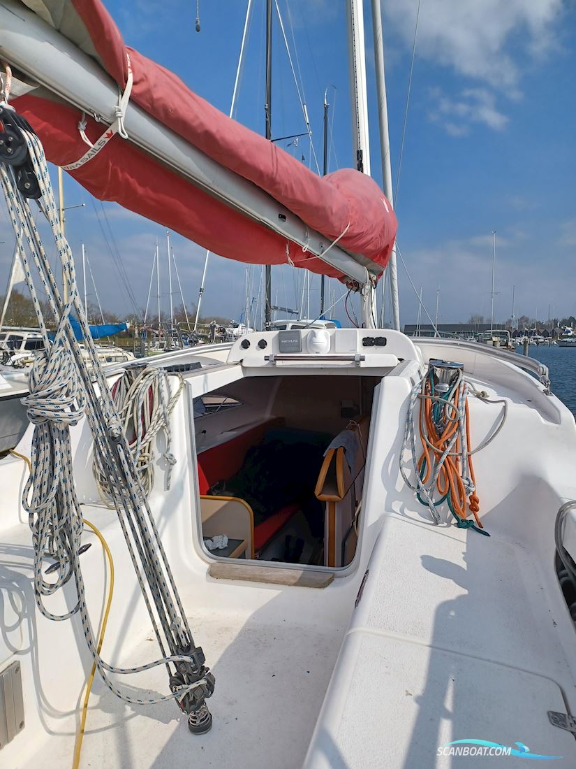 Dragonfly 28 Sport