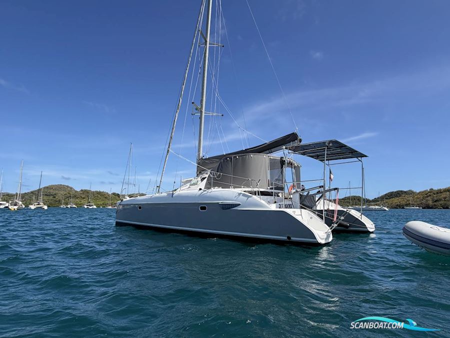 Fountaine Pakot Lavezii 40
