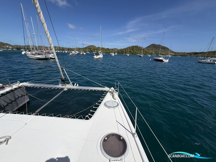 Fountaine Pakot Lavezii 40