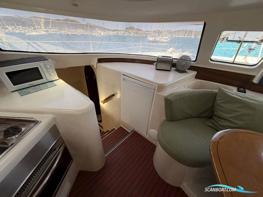 Fountaine Pakot Lavezii 40