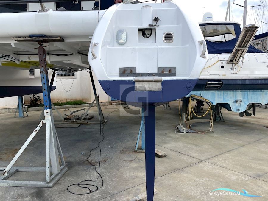 Latini Marine Cat 43