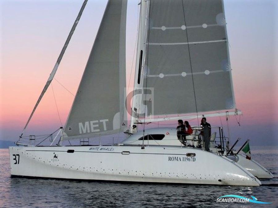 Latini Marine Cat 43