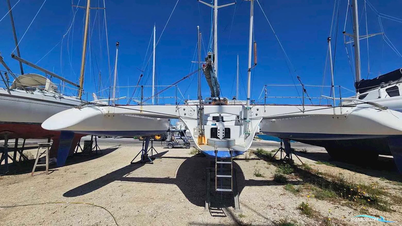 Pulsar 33