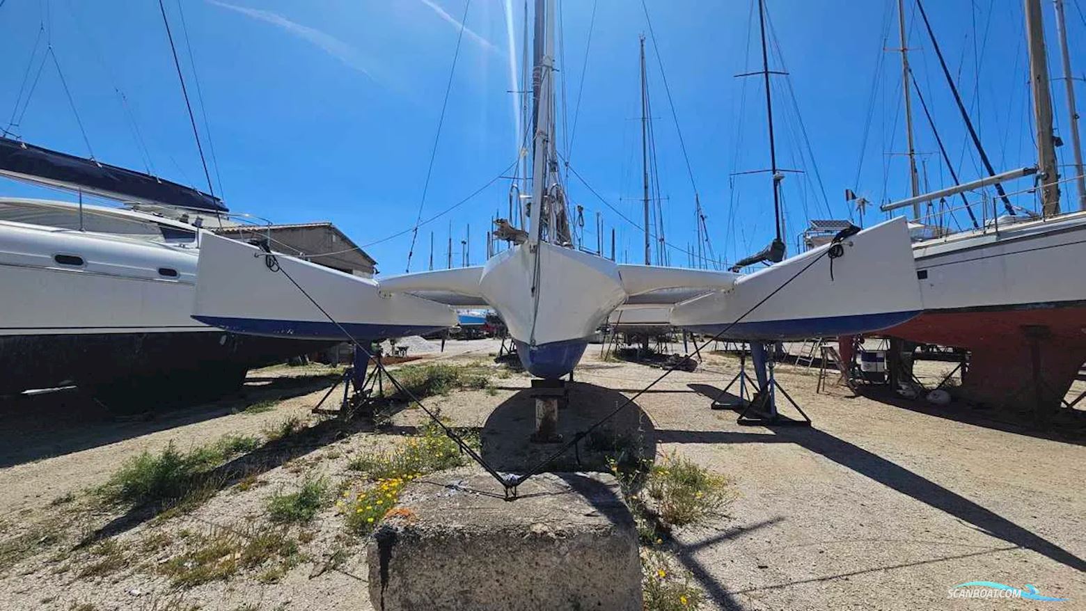 Pulsar 33