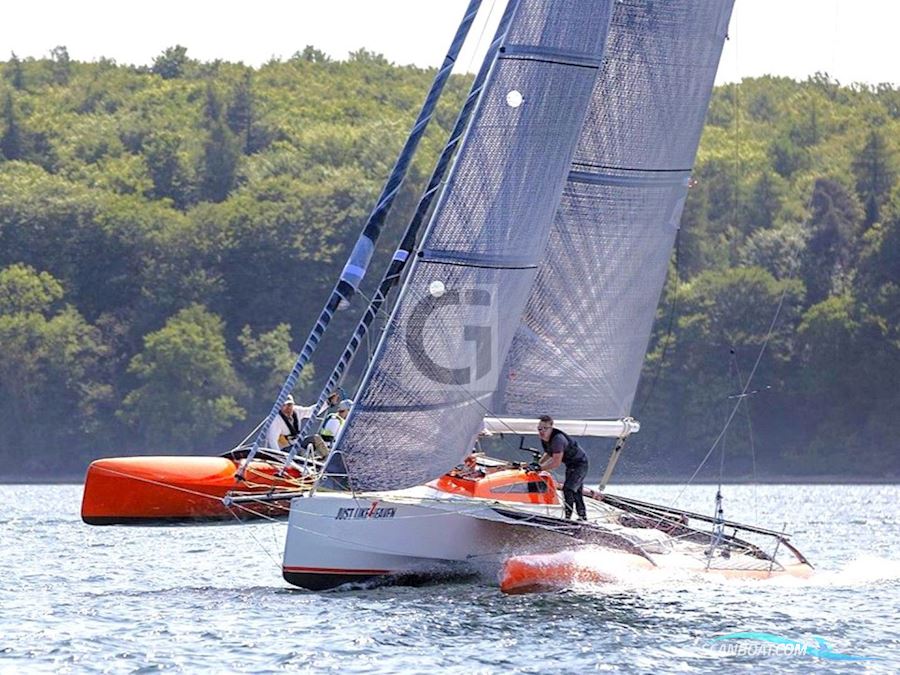 Seacart 30 Multi hull boat 2006, with Mercury 4 Stroke engine, Denmark