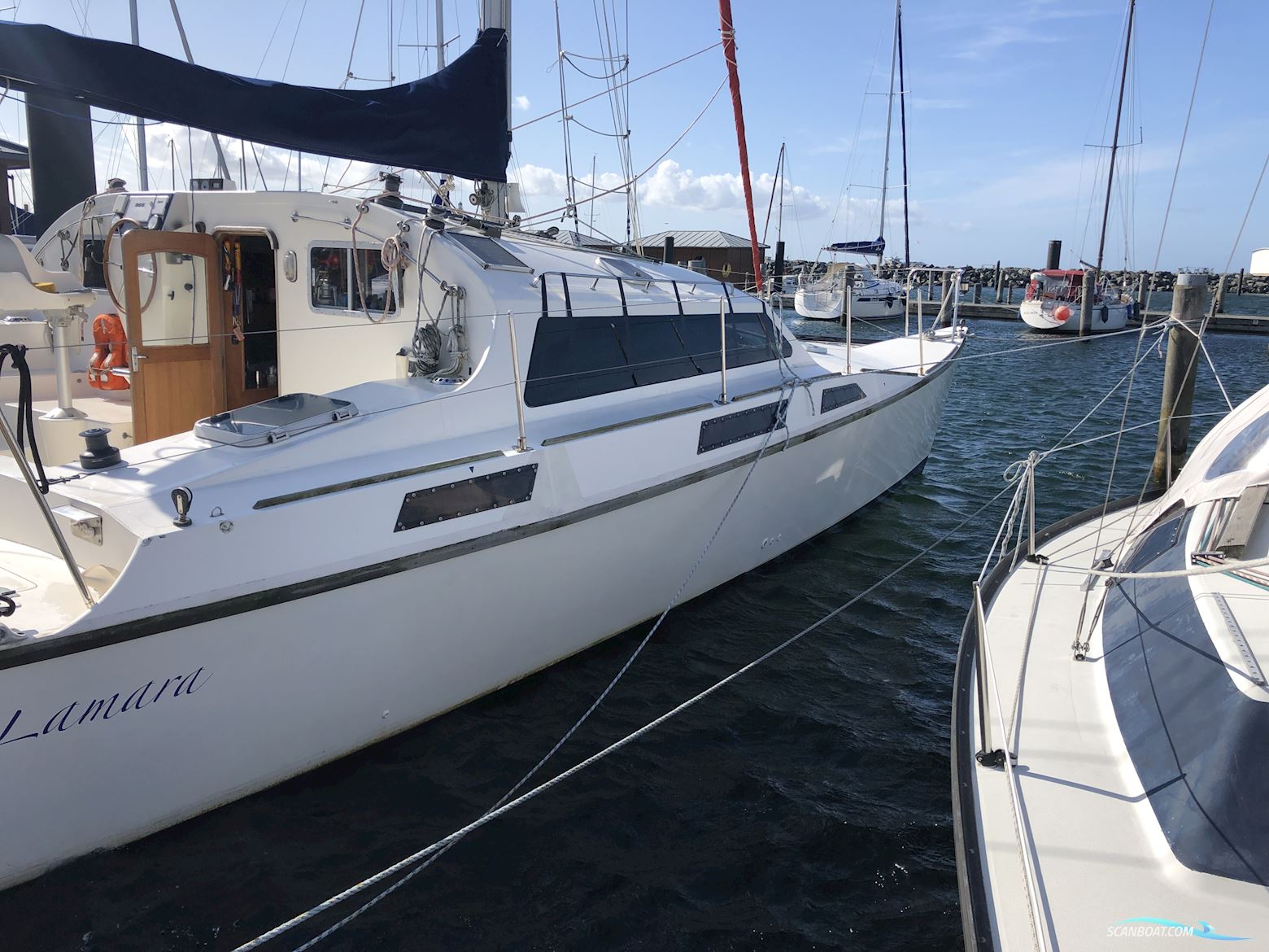 Woods Flica 35