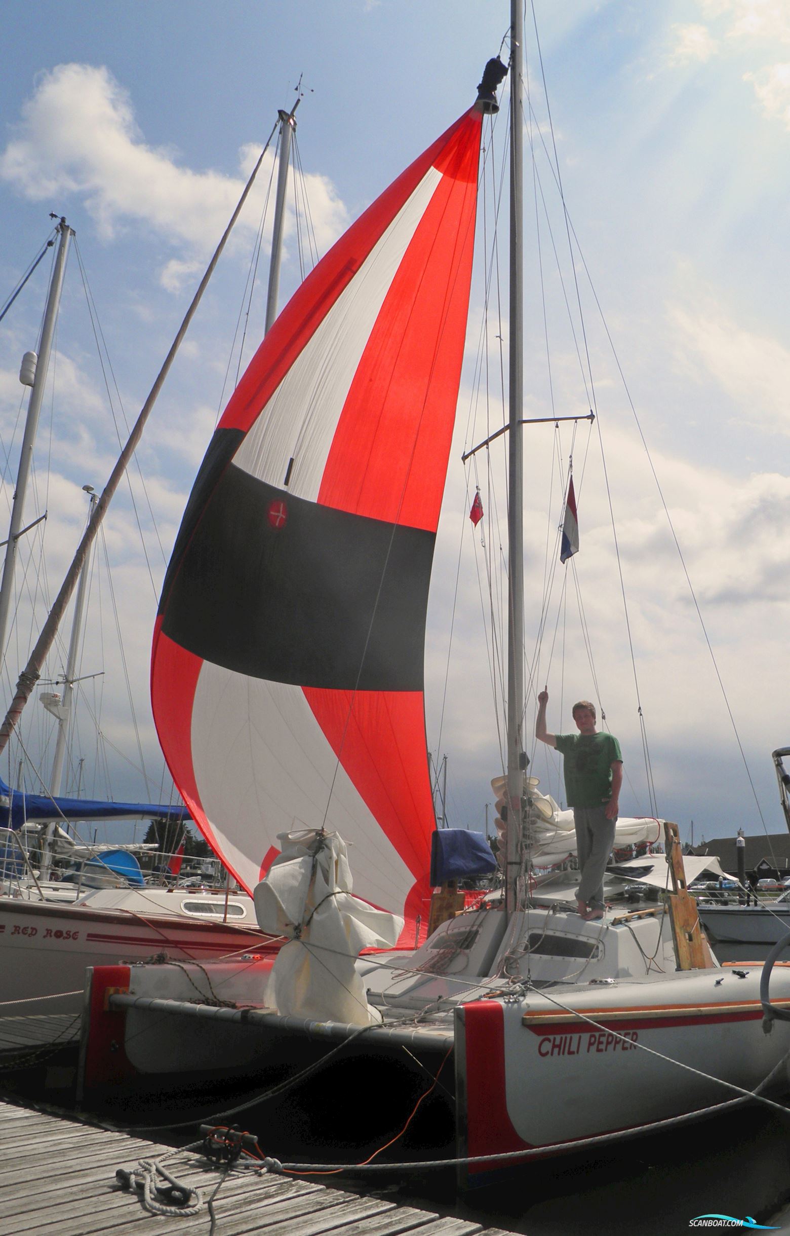 Woods Wizard Catamaran