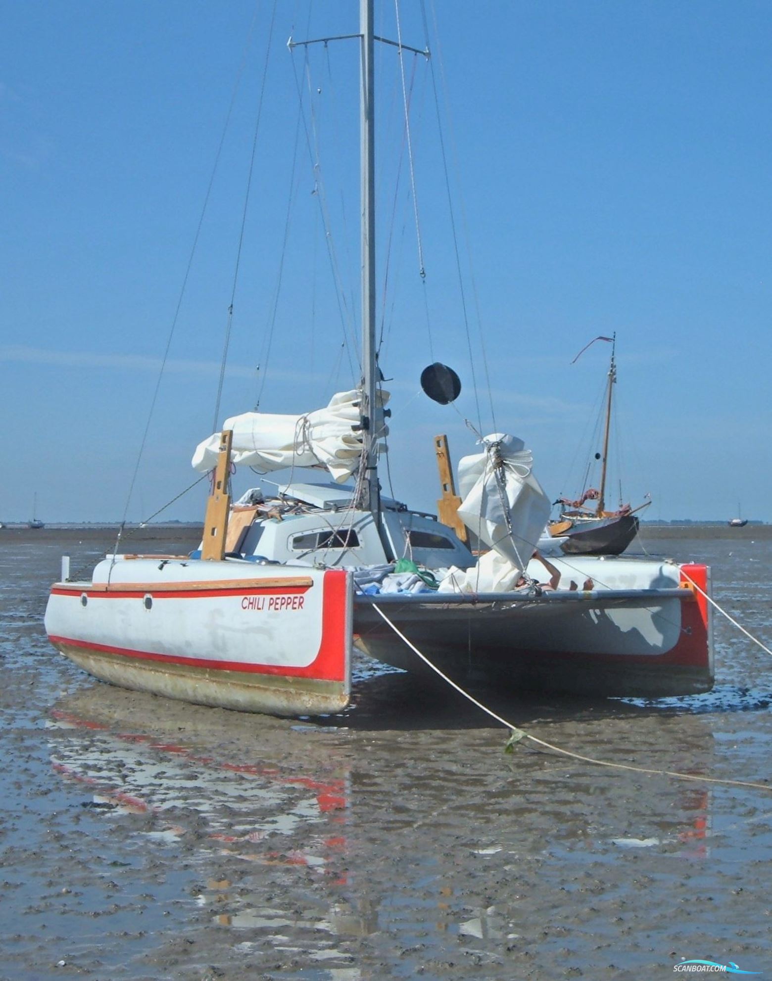 Woods Wizard Catamaran