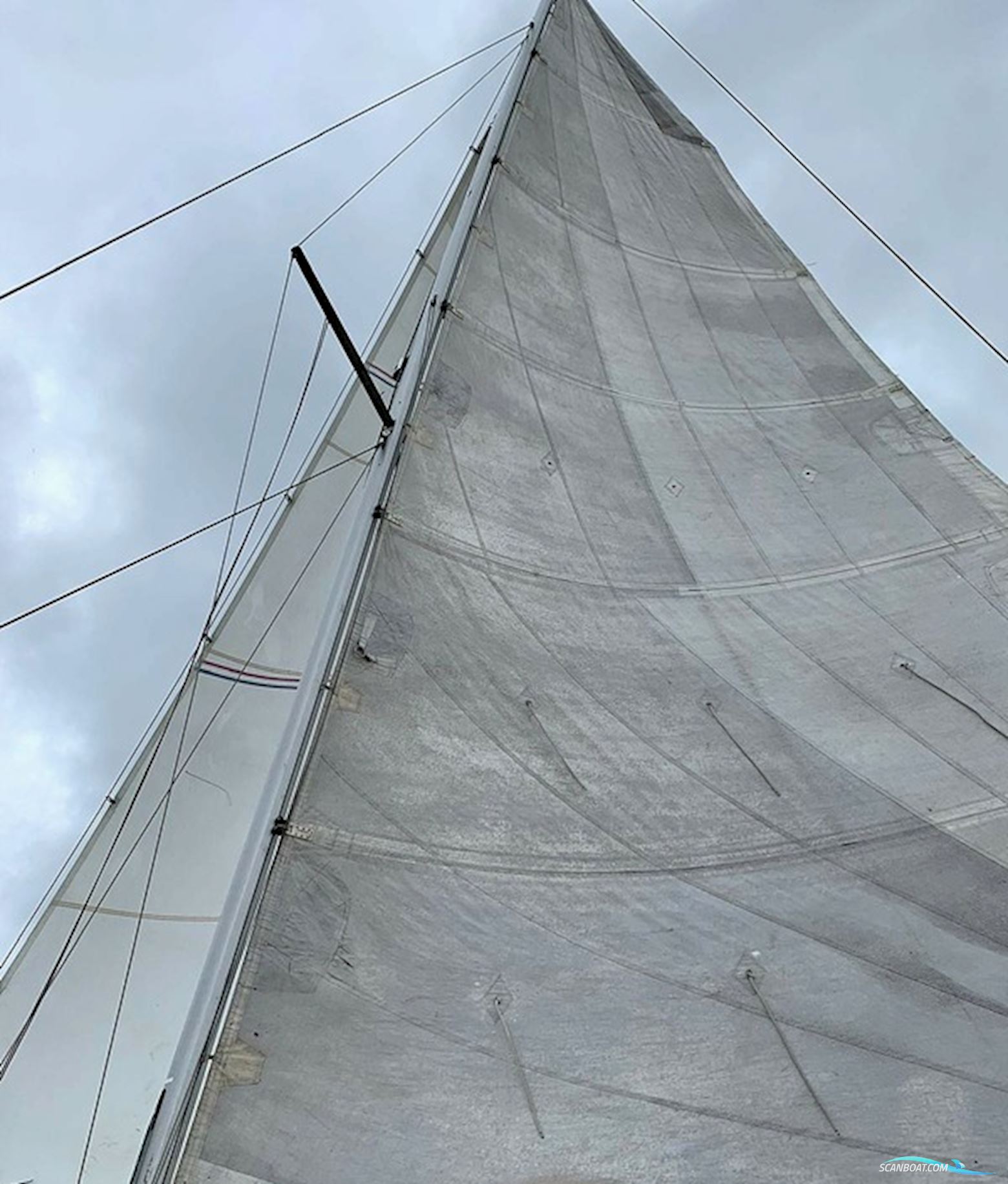 Amateur Starter 800 Catamaran